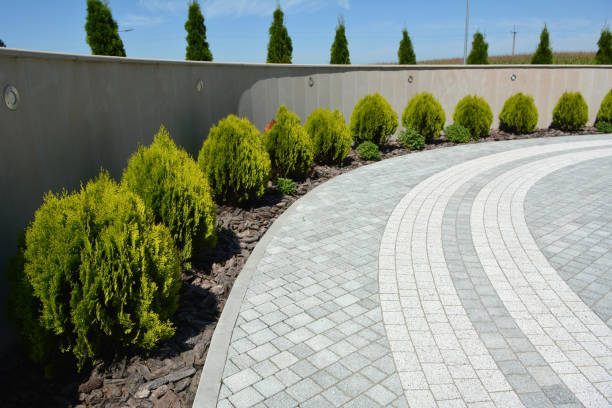 Best Concrete Driveway Paving in Tangerine, FL